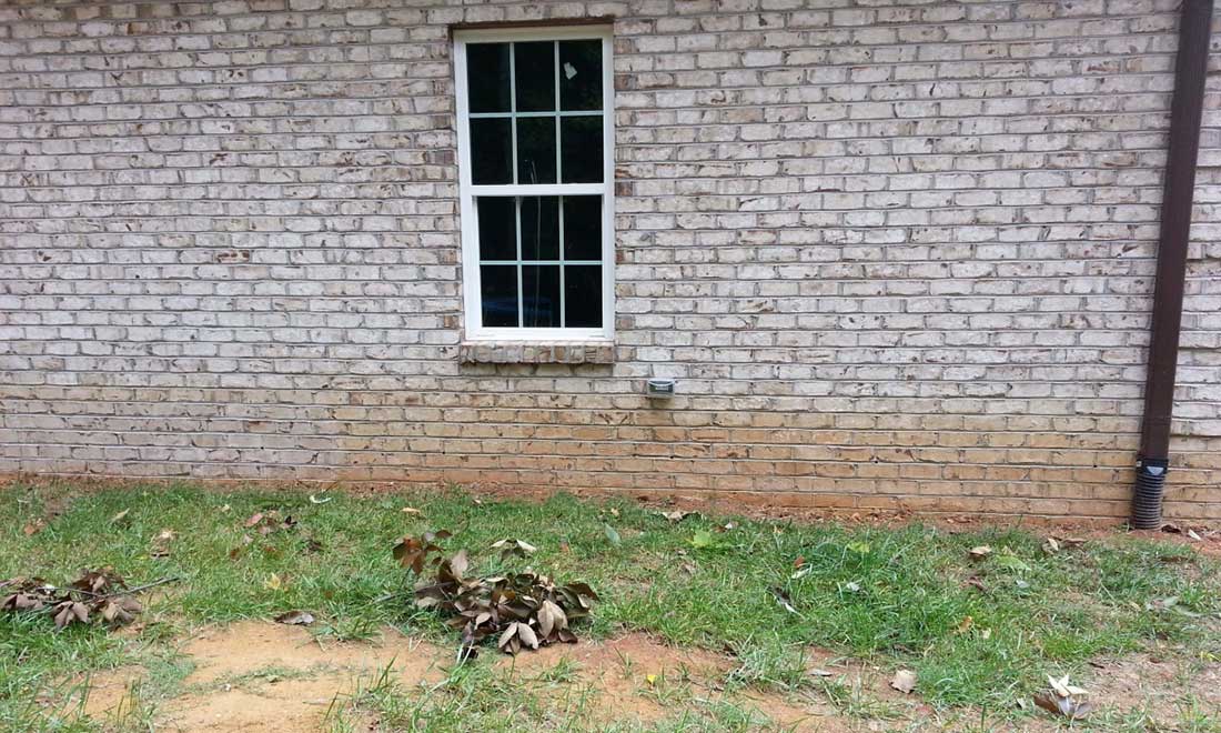 Brick1-1 image BEFORE