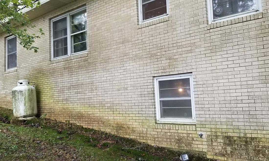 House-Dirty image BEFORE