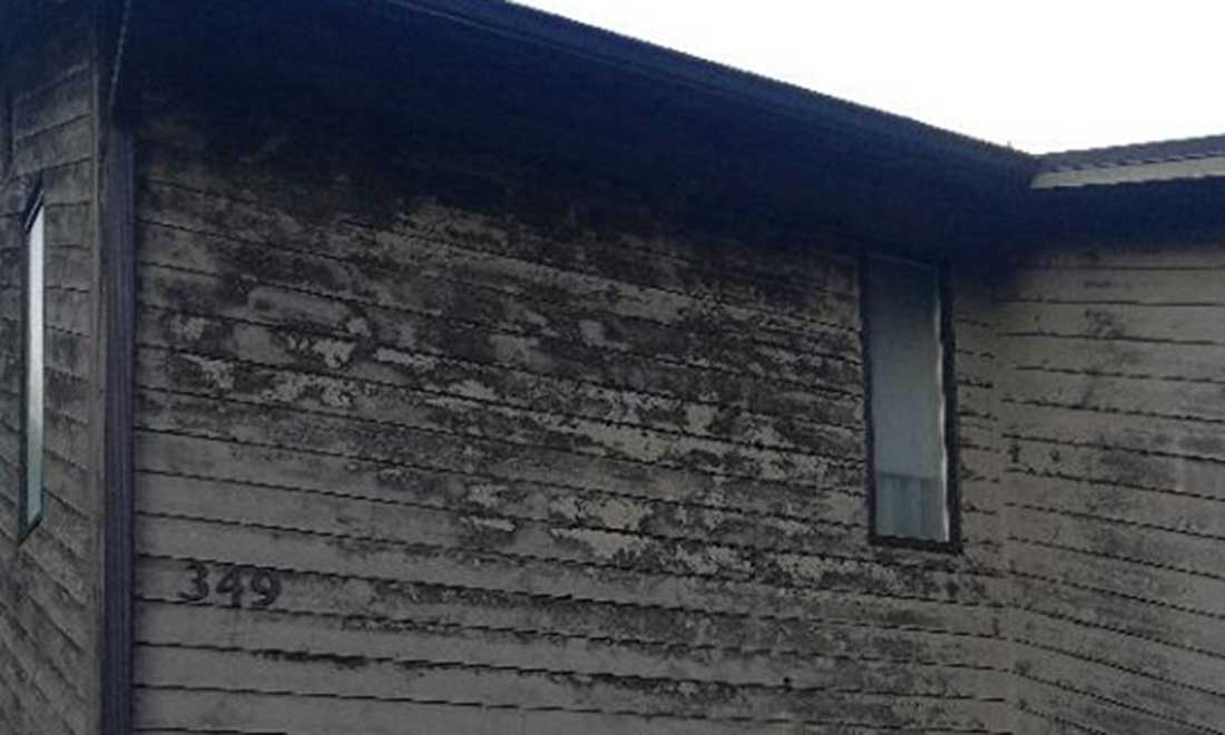 House-Dirty6 image BEFORE