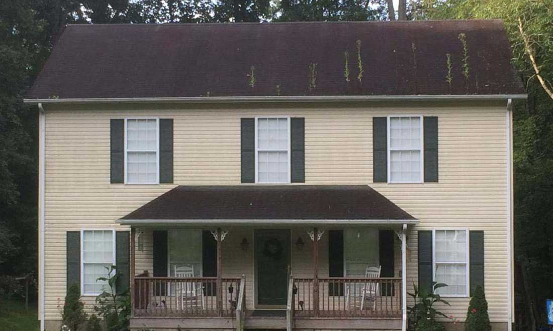Roof2-1 image BEFORE