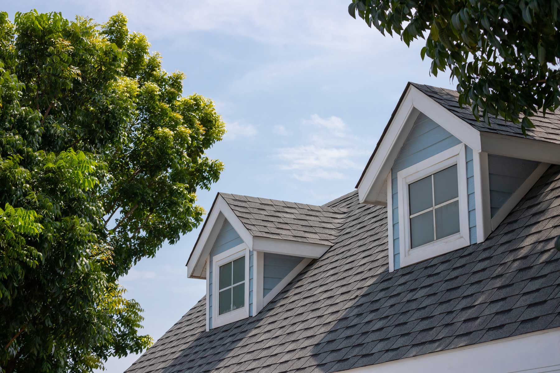 shingle-roof image